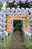 Enlarge photo 5
