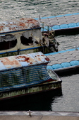 Enlarge photo 45