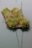 Enlarge photo 47