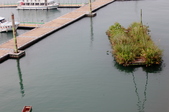 Enlarge photo 48