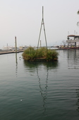 Enlarge photo 79