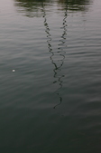 Enlarge photo 80