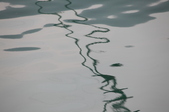 Enlarge photo 82
