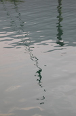 Enlarge photo 83