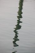 Enlarge photo 84