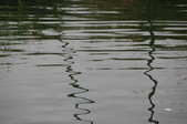 Enlarge photo 85