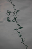 Enlarge photo 87
