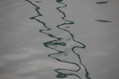 Enlarge photo 91