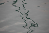 Enlarge photo 92