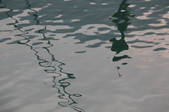 Enlarge photo 93