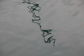 Enlarge photo 94