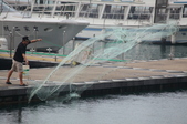 Enlarge photo 99