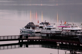 Enlarge photo 125