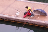 Enlarge photo 130