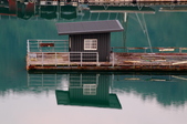 Enlarge photo 134