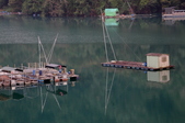 Enlarge photo 138