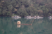 Enlarge photo 140