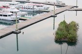 Enlarge photo 141