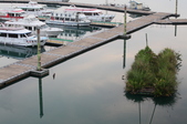Enlarge photo 142