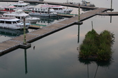 Enlarge photo 143