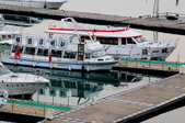 Enlarge photo 146