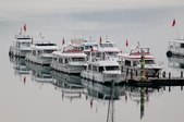 Enlarge photo 148