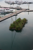 Enlarge photo 152