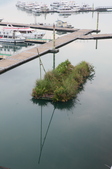 Enlarge photo 153
