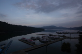 Enlarge photo 181