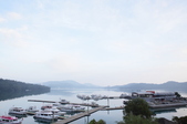 Enlarge photo 203