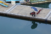 Enlarge photo 219