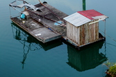 Enlarge photo 223
