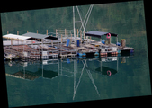 Enlarge photo 224