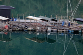 Enlarge photo 225