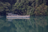 Enlarge photo 230