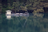 Enlarge photo 231