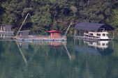 Enlarge photo 233