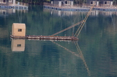 Enlarge photo 235