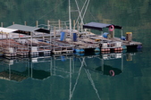 Enlarge photo 244