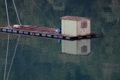 Enlarge photo 245