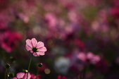 Enlarge photo 40