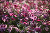 Enlarge photo 45