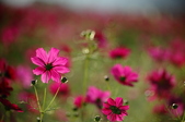 Enlarge photo 56