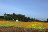 Enlarge photo 80