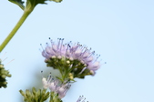 Enlarge photo 95