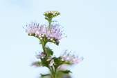 Enlarge photo 96