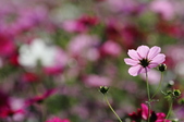 Enlarge photo 104