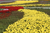Enlarge photo 114