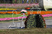 Enlarge photo 116