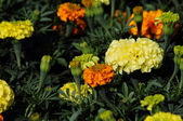 Enlarge photo 18